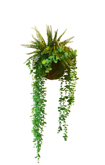 Afbeeldingen van Fougeres Eucalyptus - kunstplanten met stalen hanger 50 cm