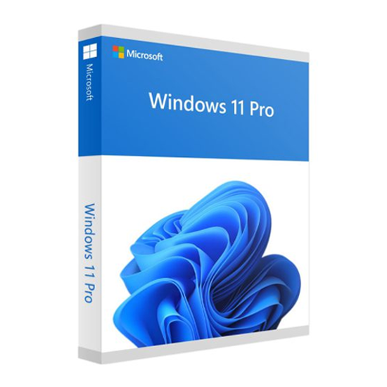 Afbeeldingen van Microsoft Windows 11 Professional
